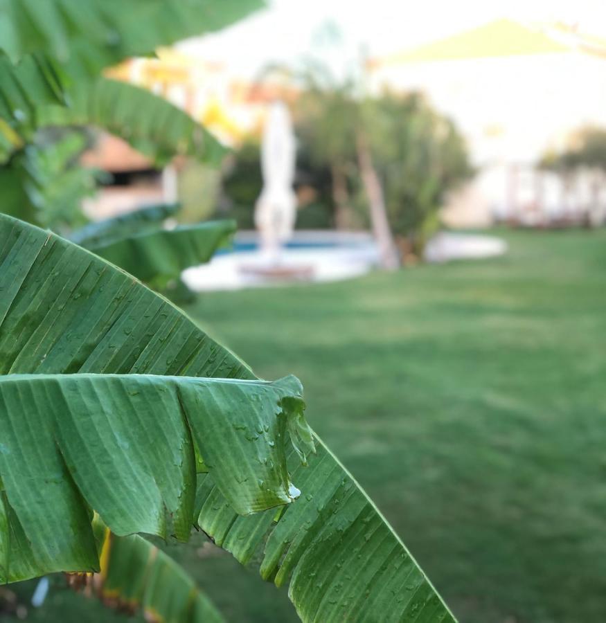 Triangulo Hotel Алакати Екстериор снимка